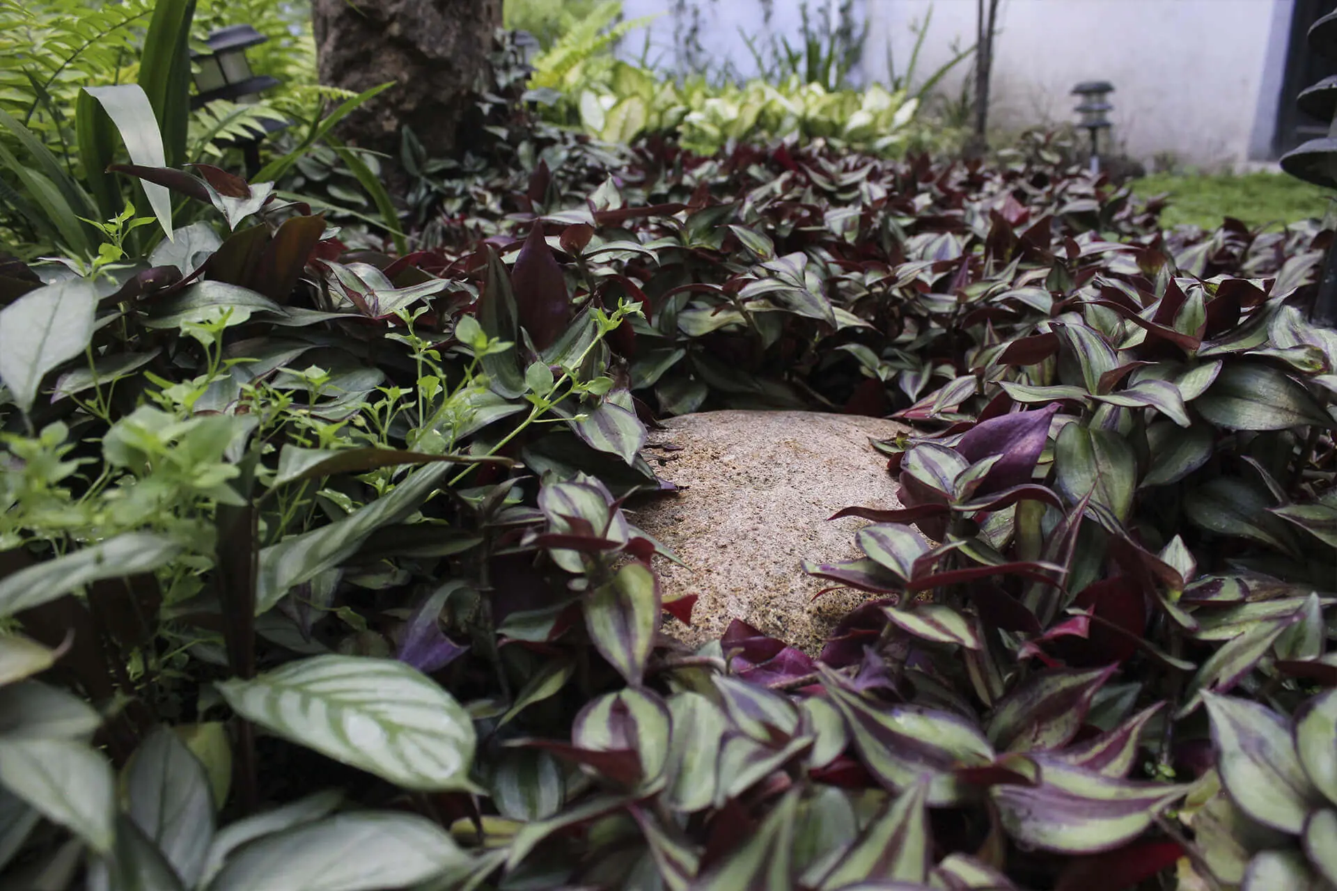 Obra Patio Condesa — Hábitat Verde